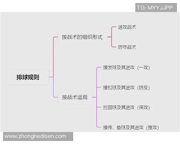 从零开始：排球战术完全攻略