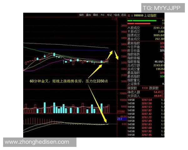 独家分析：南京乒乓球队的节奏对比