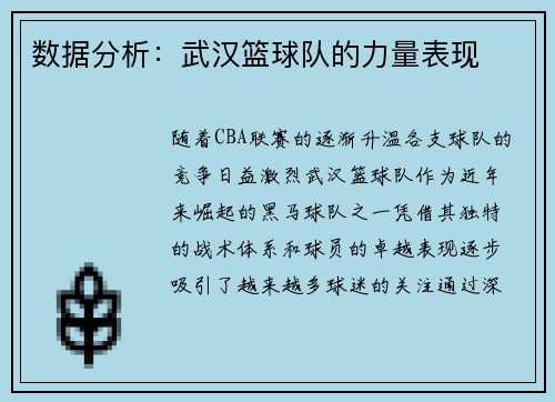 数据分析：武汉篮球队的力量表现
