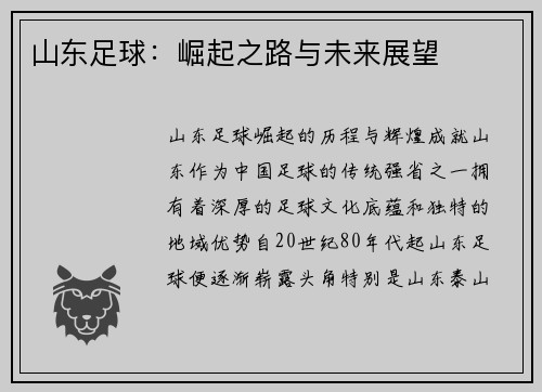山东足球：崛起之路与未来展望