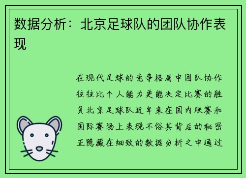 数据分析：北京足球队的团队协作表现