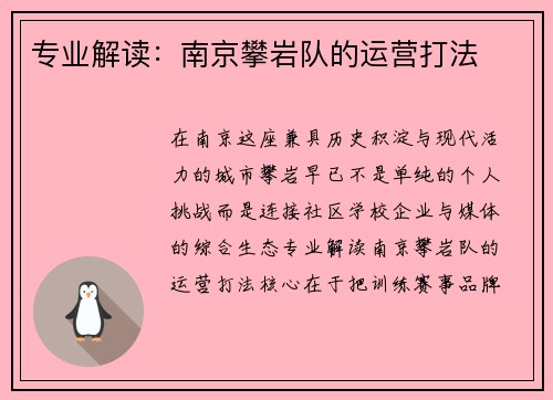 专业解读：南京攀岩队的运营打法