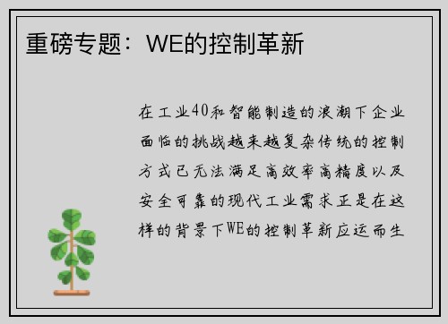 重磅专题：WE的控制革新